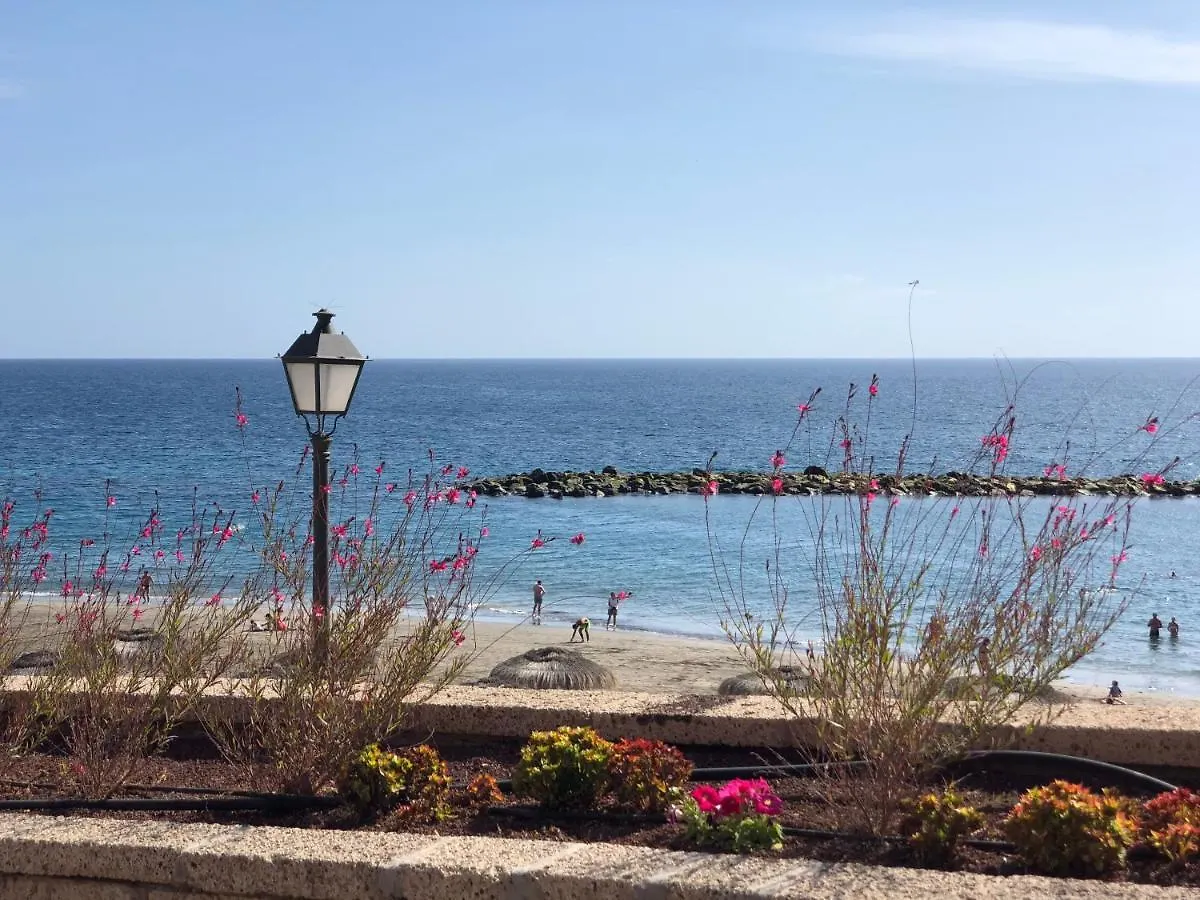 Appartement A Playa Paraiso アパート プラヤ・パライソ