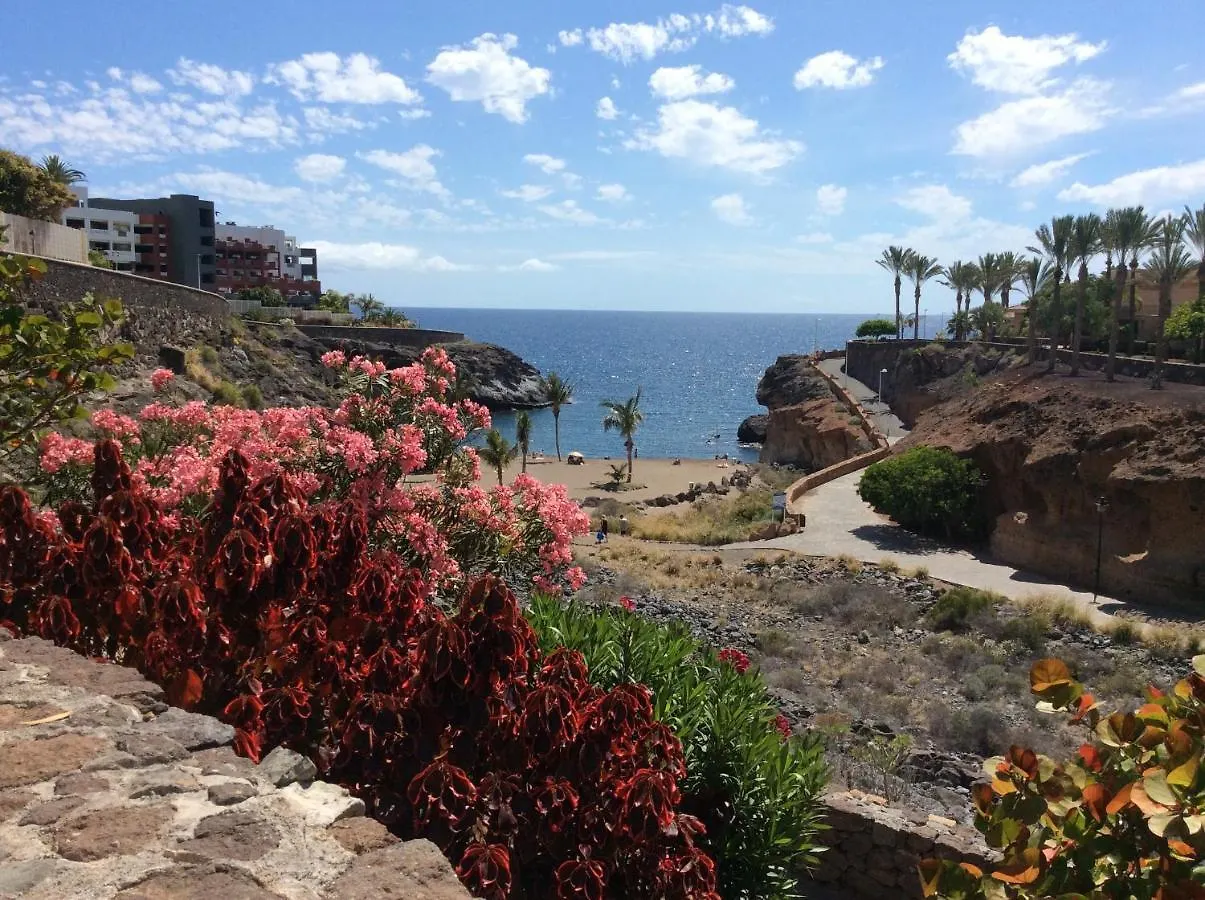Appartement à Playa Paraiso Playa Paraiso (Tenerife)